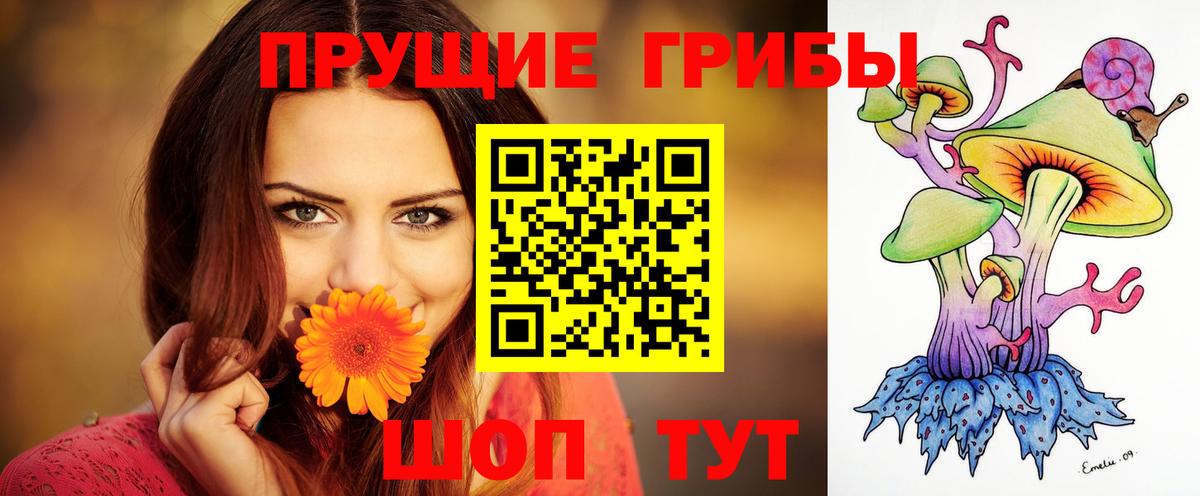 Псилоцибиновые грибы мухоморы Кострома