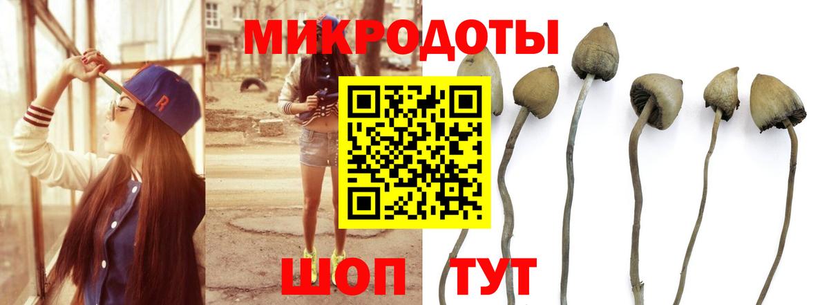 Кострома  закладка  Вход с VPN  Псилоцибиновые грибы Magic Shrooms 